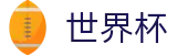 2026FIFA世界杯_世界杯唯一买球平台老牌网站